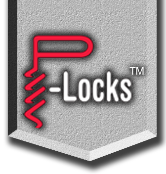 P-Locks anti-theft system